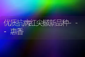 优质抗病红尖椒新品种---惠香