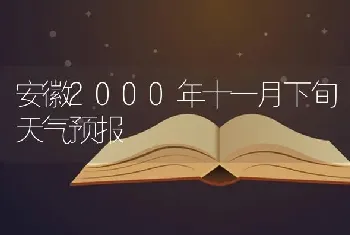 安徽2000年十一月下旬天气预报