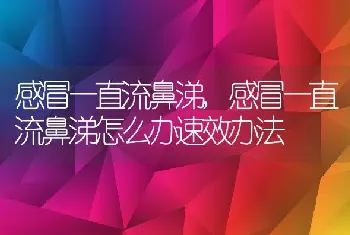 感冒一直流鼻涕,感冒一直流鼻涕怎么办速效办法