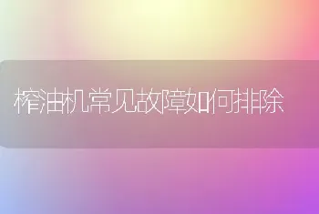 榨油机常见故障如何排除