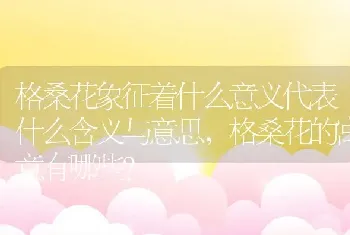 格桑花象征着什么意义代表什么含义与意思