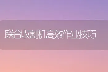 联合收割机高效作业技巧