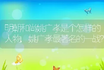 猫吐了怎么回事