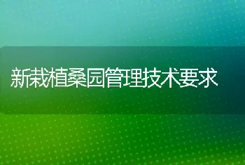 新栽植桑园管理技术要求