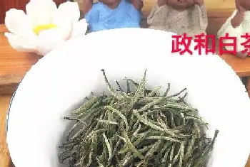 福鼎白茶哪个牌子的正宗