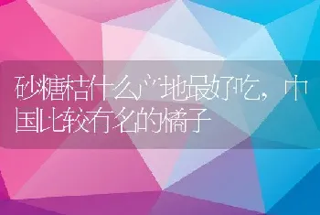 砂糖桔什么产地最好吃