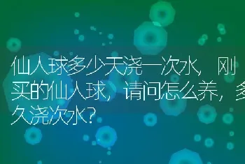 仙人球多少天浇一次水