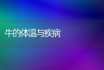 牛的体温与疾病