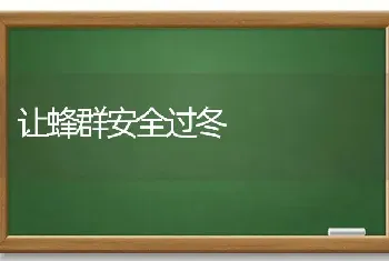 让蜂群安全过冬