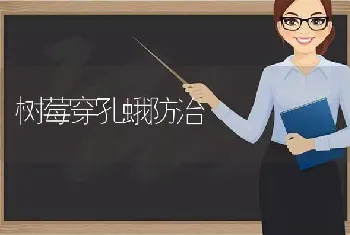 树莓穿孔蛾防治