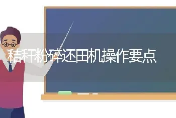 秸秆粉碎还田机操作要点