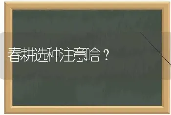 春耕选种注意啥?