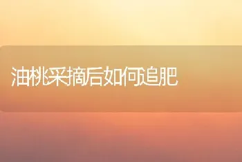 油桃采摘后如何追肥