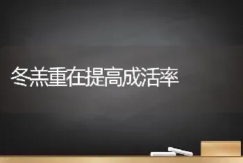 冬羔重在提高成活率