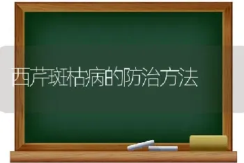 西芹斑枯病的防治方法