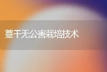 薹干无公害栽培技术