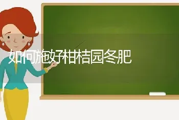 如何施好柑桔园冬肥