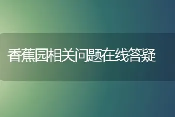 香蕉园相关问题在线答疑