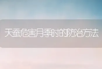 天蚕危害月季时的防治方法