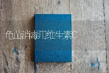 龟苗消毒用维生素C