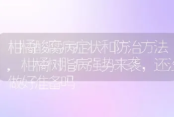 柑橘酸腐病症状和防治方法