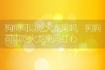 狗狗可以吃火龙果吗,狗狗可以吃火龙果吗红心