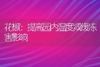 花椒：提高园内温度减缓冻害影响