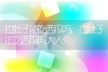 拉肚子能吃西瓜吗,拉肚子能吃西瓜吗大人