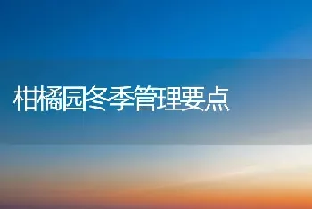 柑橘园冬季管理要点