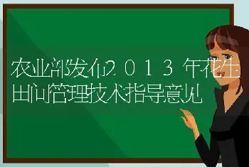 农业部发布2013年花生田间管理技术指导意见