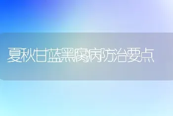 夏秋甘蓝黑腐病防治要点