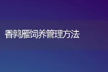 香鹑雁饲养管理方法