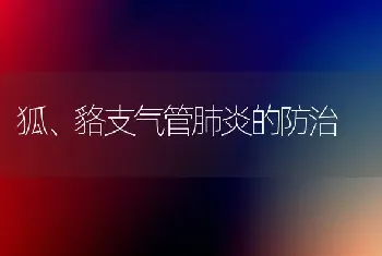 狐、貉支气管肺炎的防治