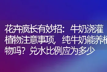 花卉疯长有妙招:牛奶浇灌植物注意事项