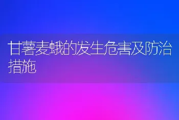 甘薯麦蛾的发生危害及防治措施