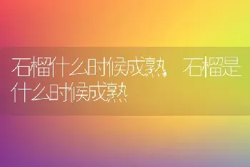 石榴什么时候成熟