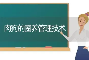 肉狗的圈养管理技术