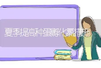 夏季提高种蛋孵化氯措施