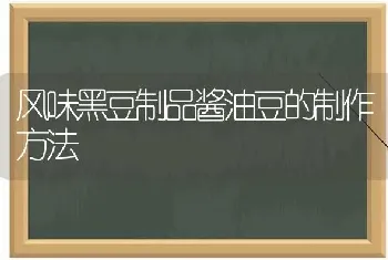 风味黑豆制品酱油豆的制作方法