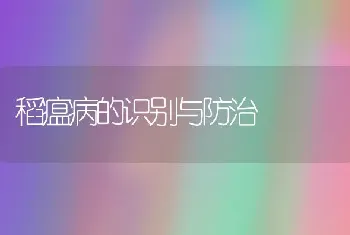 稻瘟病的识别与防治