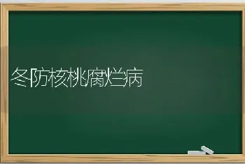 冬防核桃腐烂病