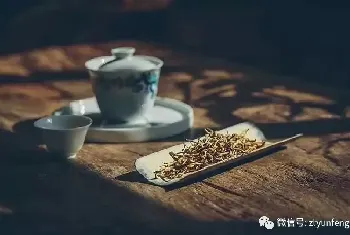 普洱茶1到10级哪个好