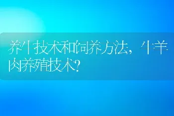 养牛技术和饲养方法