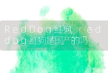 RedDog红狗