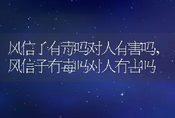 风信子有毒吗对人有害吗