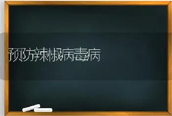 预防辣椒病毒病