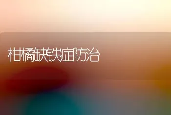 柑橘缺铁症防治