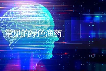 常见的绿色渔药