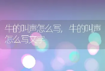 牛的叫声怎么写,牛的叫声怎么写文字