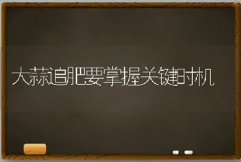 大蒜追肥要掌握关键时机